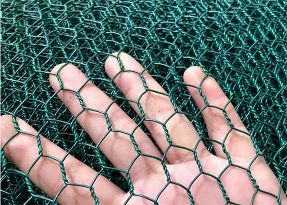 PVC Lapisan Hexagonal Wire Net Twisted Woven Wire Net